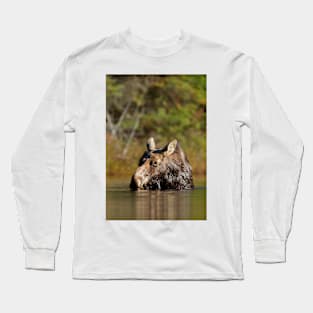 Moose - Algonquin Park, Canada Long Sleeve T-Shirt